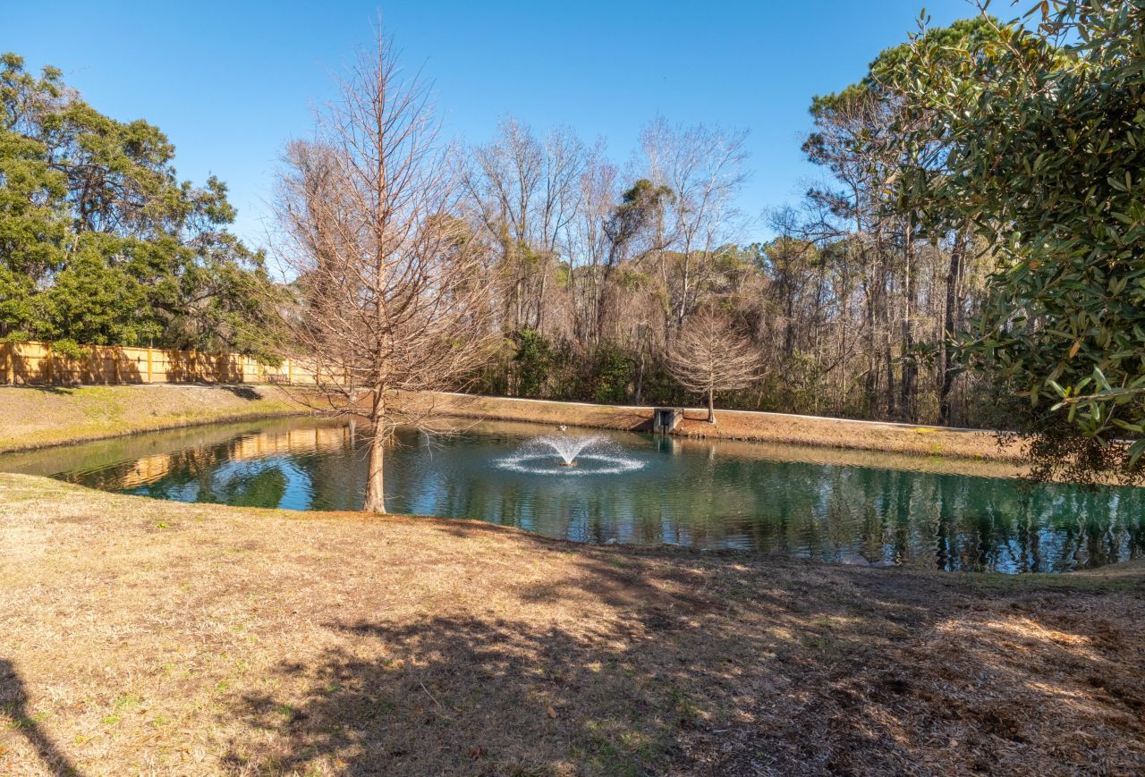 2111 Chatelain Way Photo 19