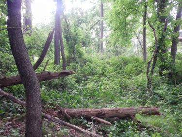 00000 Johnson Drive | Lot 5, Lake Orion Village, Mi 48362