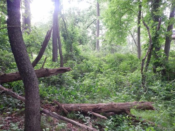 0000 Johnson Drive , Lake Orion Vlg, MI 48362