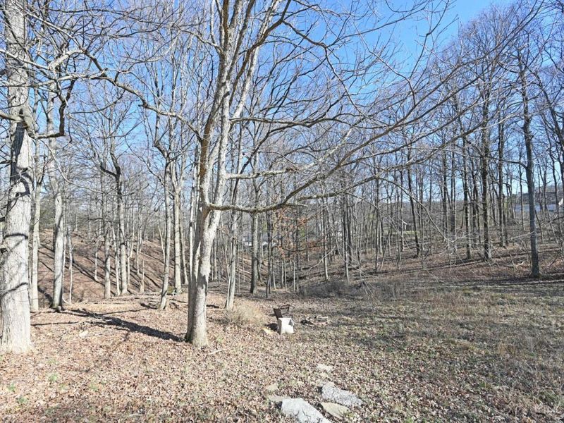 3130 Wolf Run Court, Cincinnati, OH 45244 Photo 73