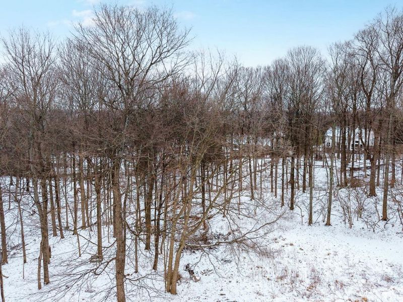 3130 Wolf Run Court, Cincinnati, OH 45244 Photo 96