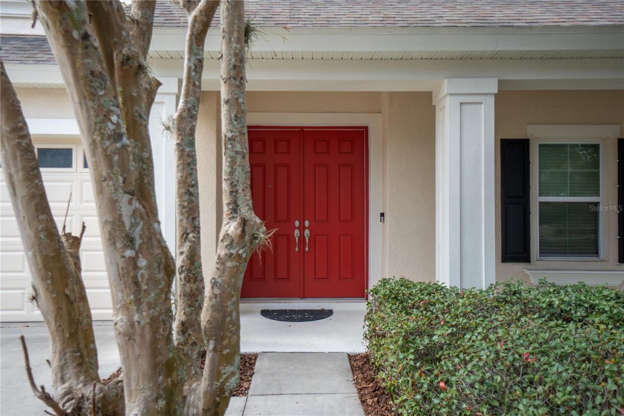 11603 Grange Stead Lane, Riverview, FL 33569 Photo