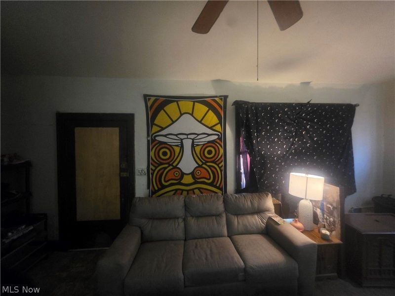 4154 Belle Avenue, Austintown, OH 44515 Photo 21