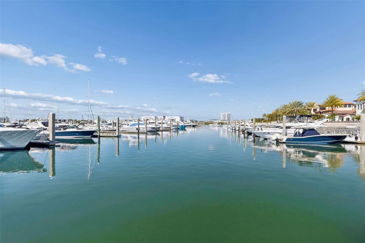 6101 Yeats Manor Drive, Tampa, FL 33616 Photo