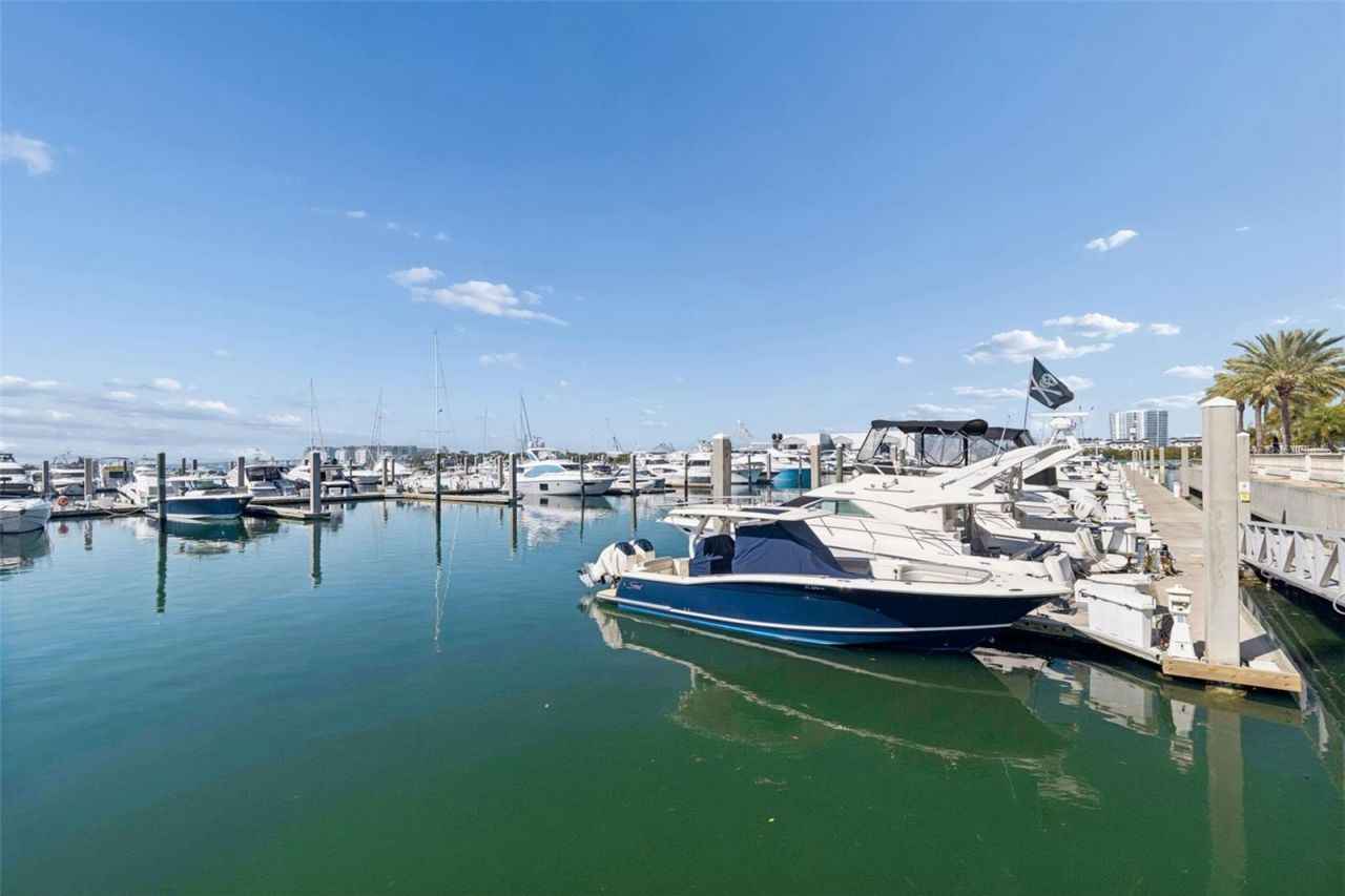 6101 Yeats Manor Drive, Tampa, FL 33616 Photo