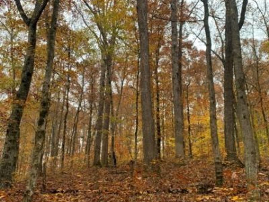 Property Image 30