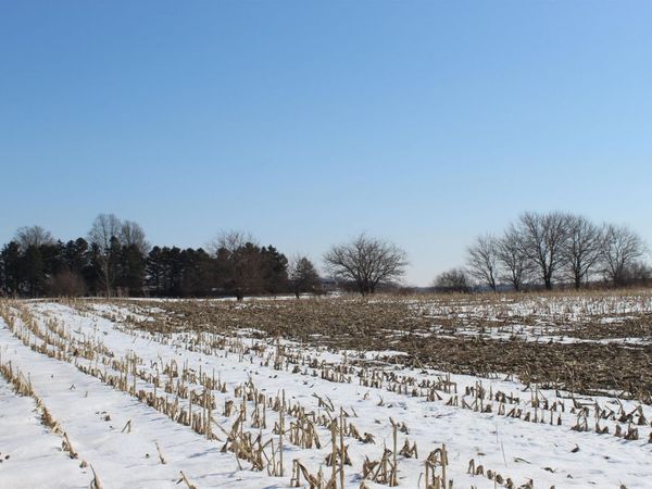TBD Family Dollar Parkway, Ashley, IN 46705