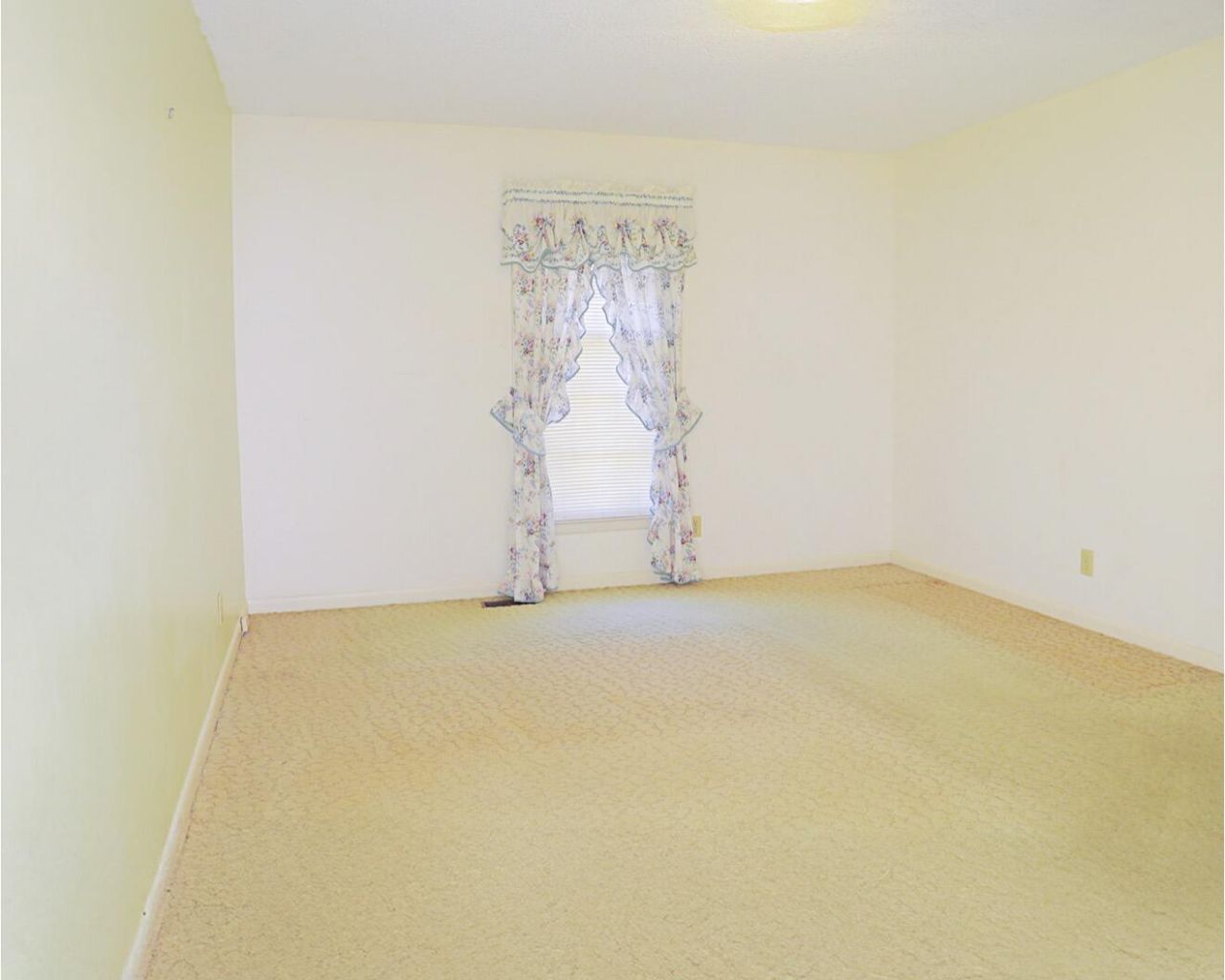 2778 Riley Street Photo 5