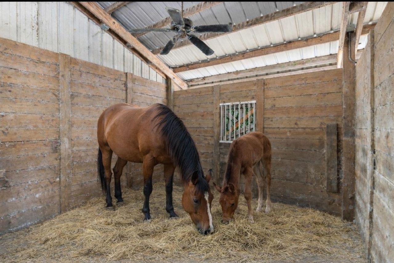 185 Omega Drive, Monticello, FL 32344 Photo