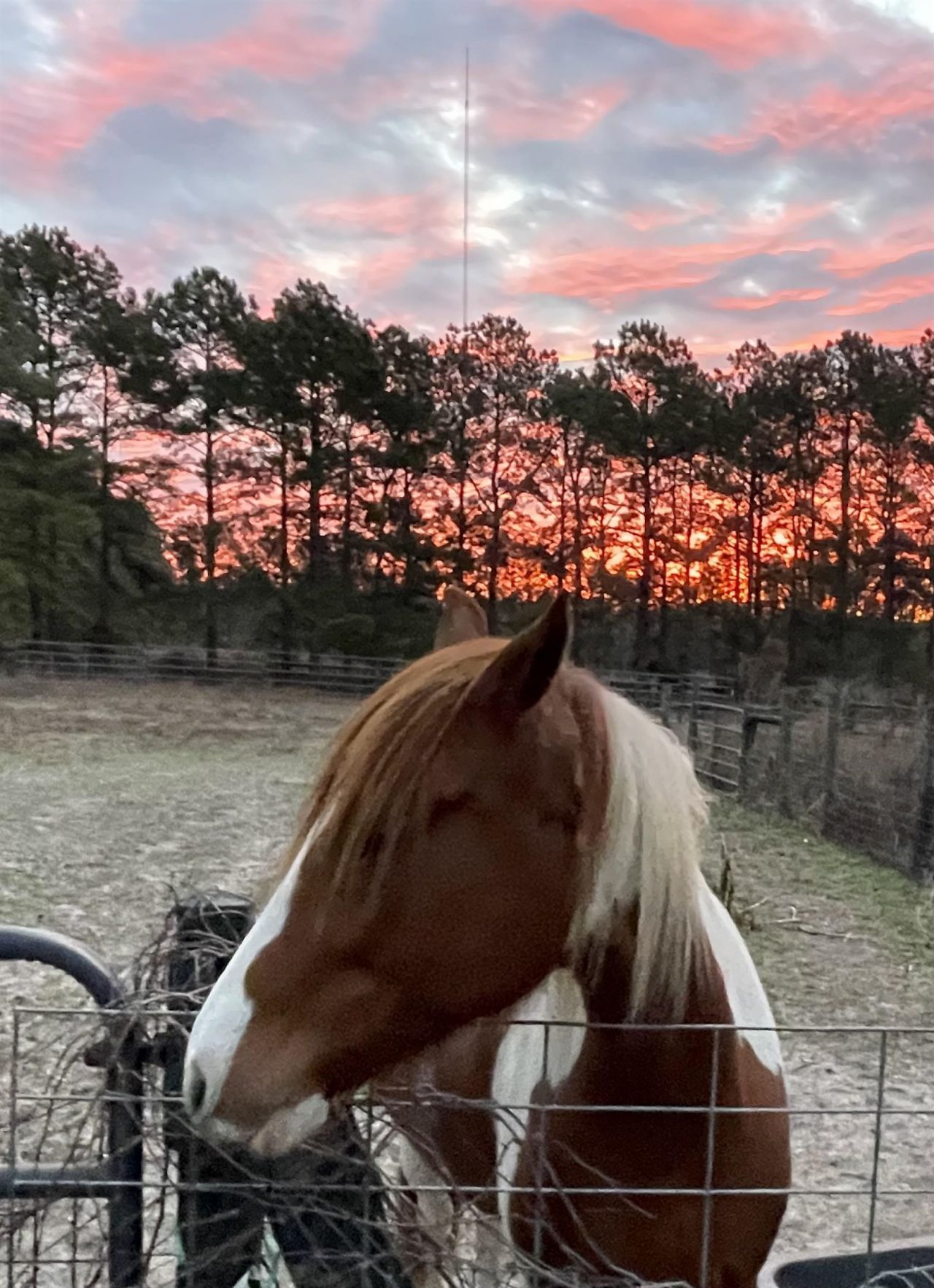 185 Omega Drive, Monticello, FL 32344 Photo