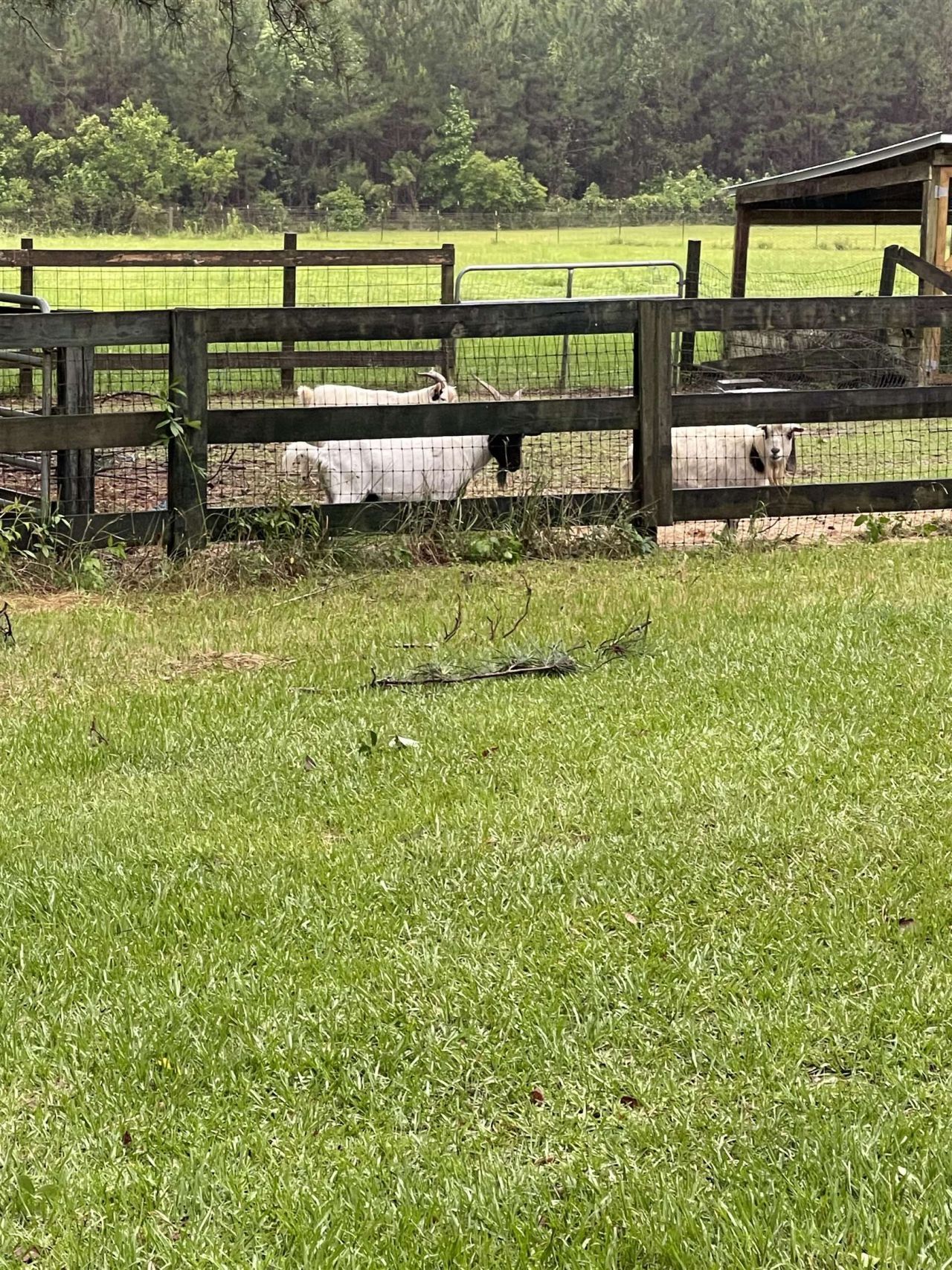 185 Omega Drive, Monticello, FL 32344 Photo