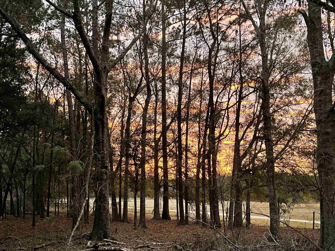 185 Omega Drive, Monticello, FL 32344 Photo