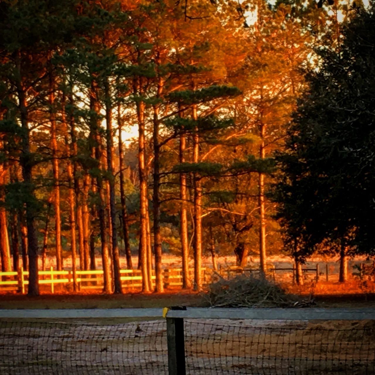 185 Omega Drive, Monticello, FL 32344 Photo