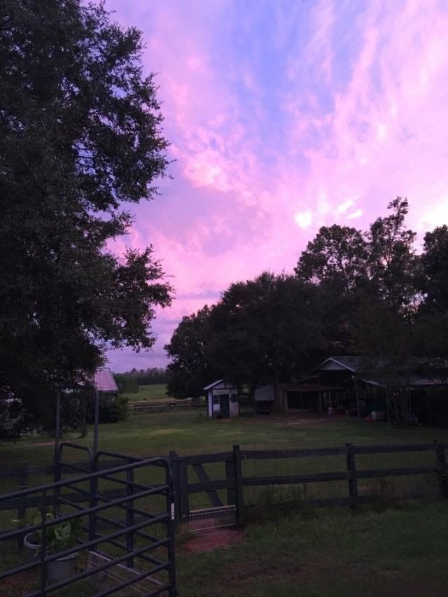 185 Omega Drive, Monticello, FL 32344 Photo