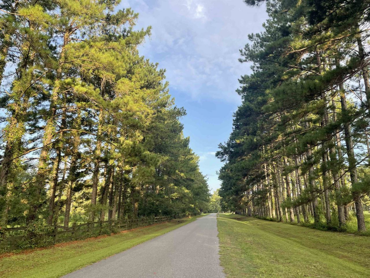 185 Omega Drive, Monticello, FL 32344 Photo