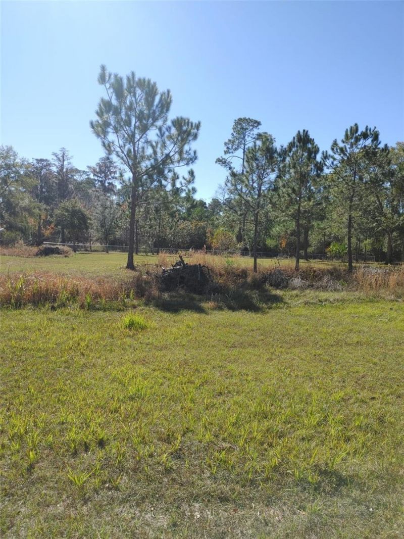 1838 NE 145th Avenue Road, Silver Springs, FL 34488 Photo