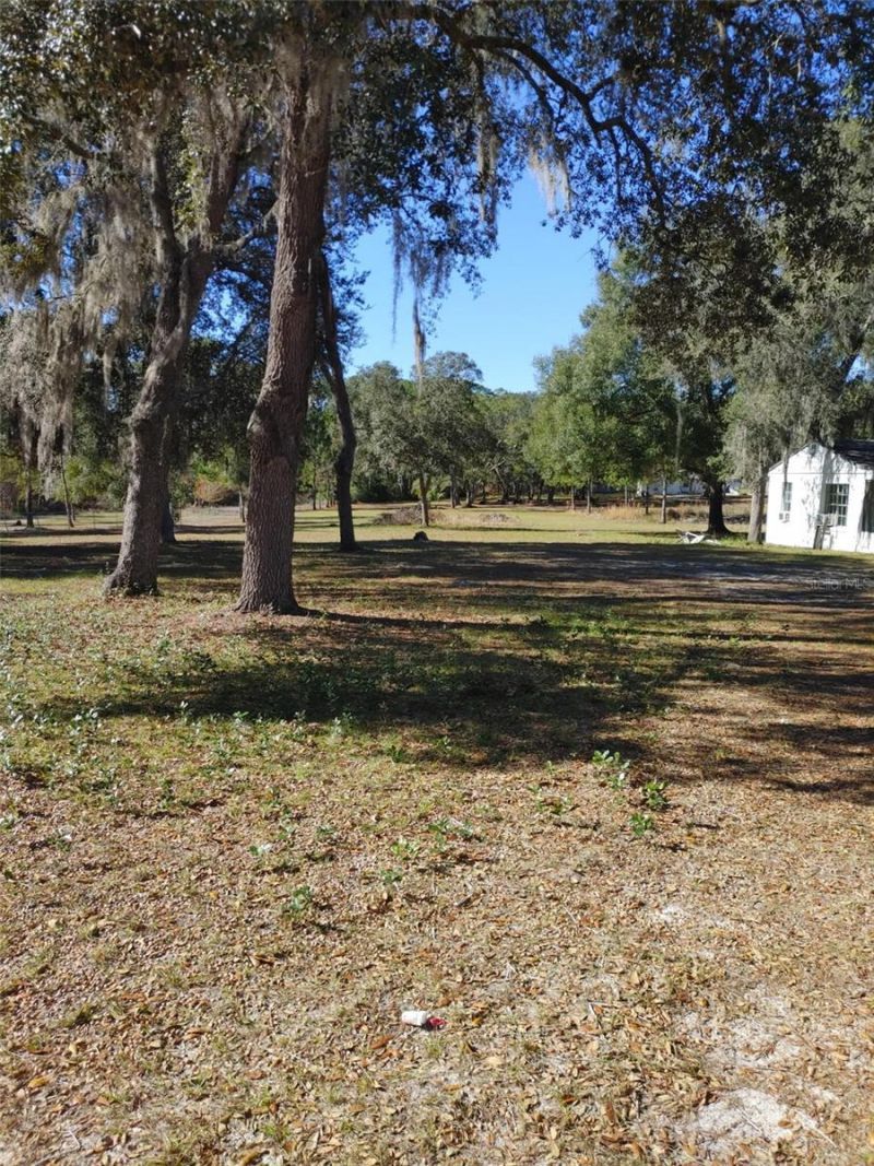 1838 NE 145th Avenue Road, Silver Springs, FL 34488 Photo