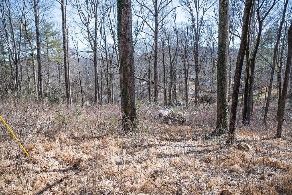 Lot 53 Lake Valley Dr., Cookeville, TN 38506 Main Photo