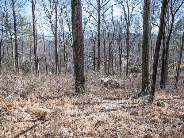 Lot 54 Lake Valley Dr., Cookeville, TN 38506