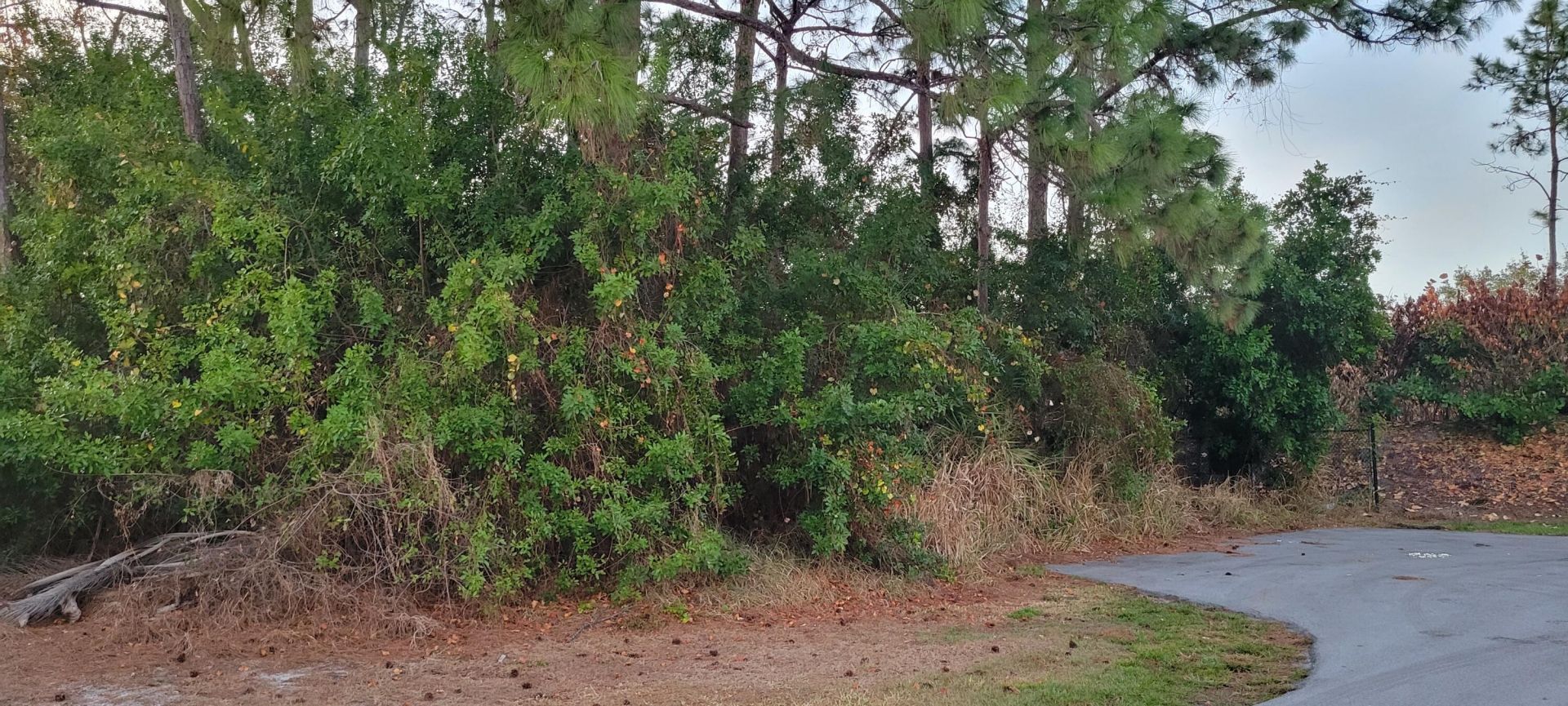 1550 SE Sutton Street, Port Saint Lucie, FL 34953 Photo