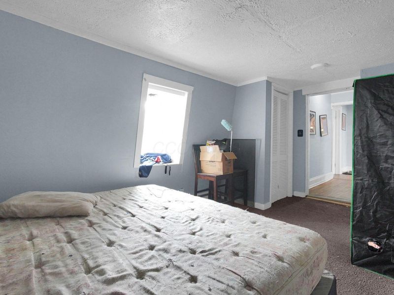 210 W High Street, Ashley, OH 43003 Photo 39