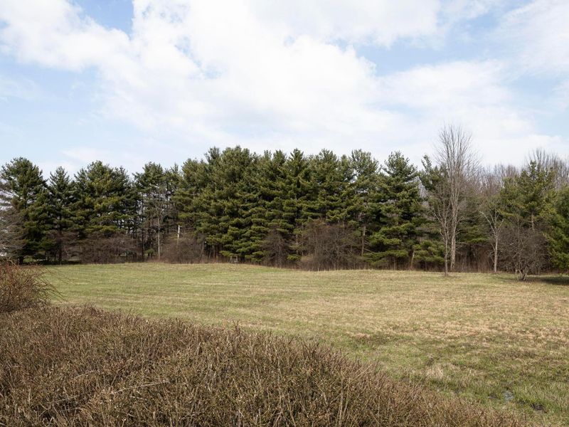 6828 Bevelhymer Road, New Albany, OH 43054 Photo 16