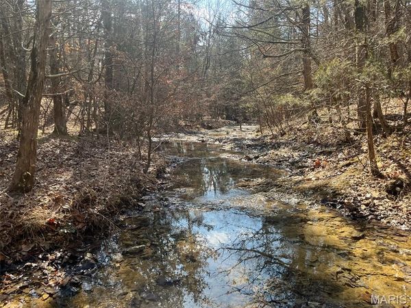 10272 Old Black River Road , Potosi, MO 63664