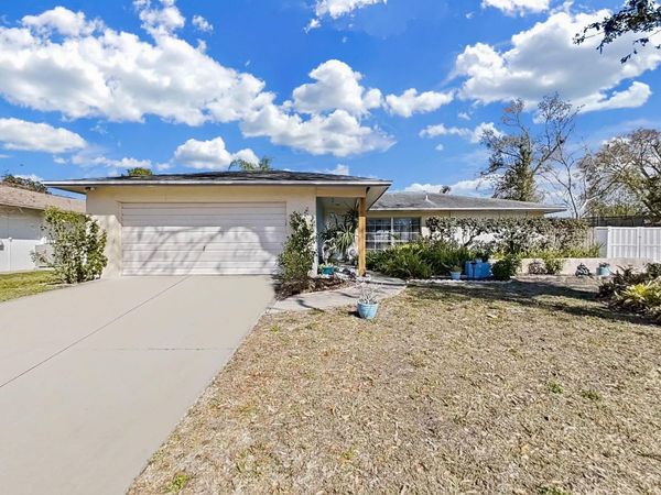5205 RIPPLE CREEK DRIVE, TAMPA, FL 33625