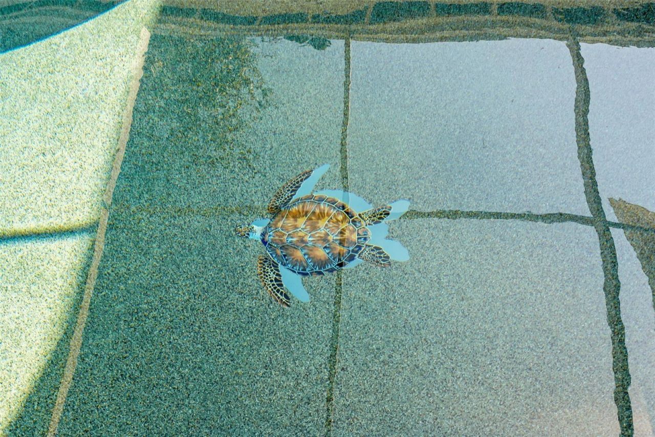 4819 Palmetto Point Drive, Palmetto, FL 34221 Photo