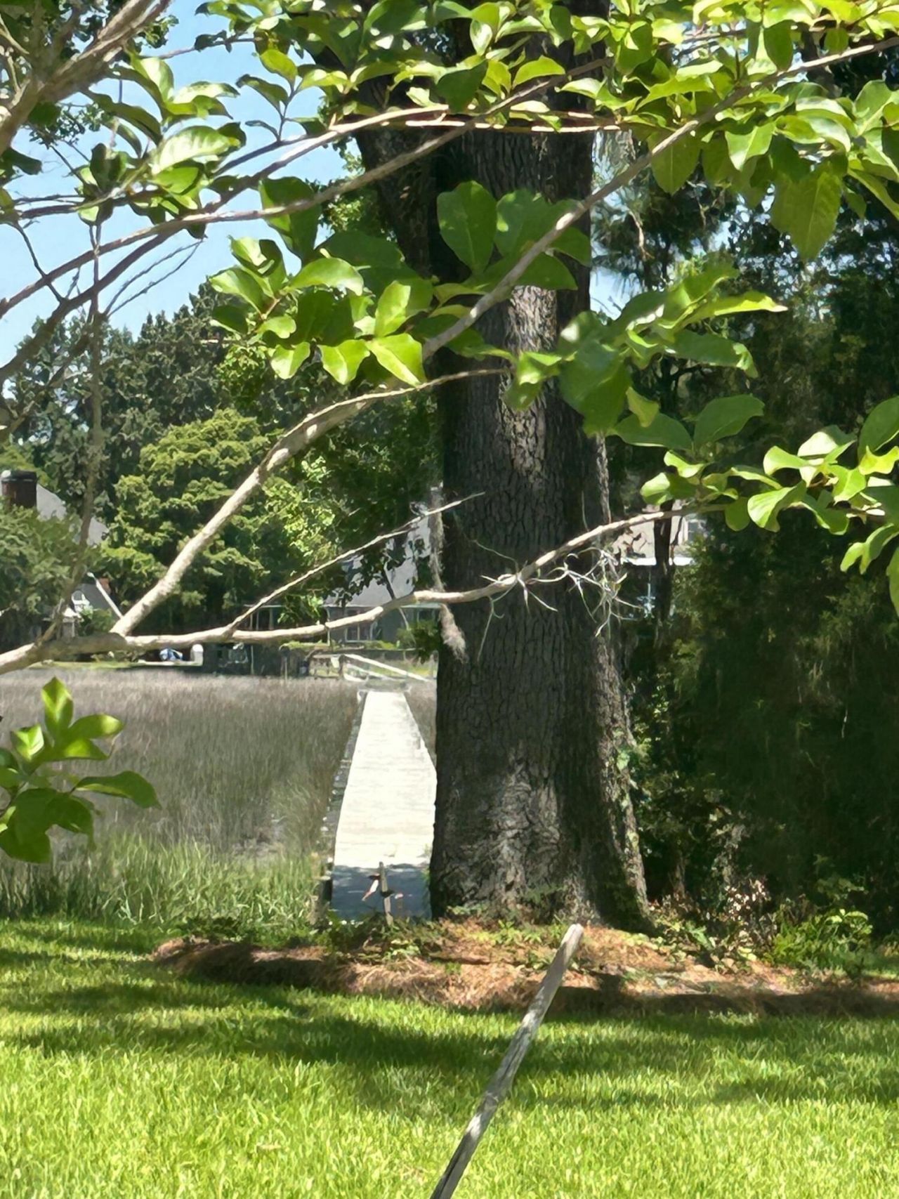 2349 Town Woods Road Photo 5