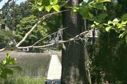 2349 Town Woods Road photo 4