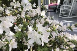 214 E Doty Avenue photo 4