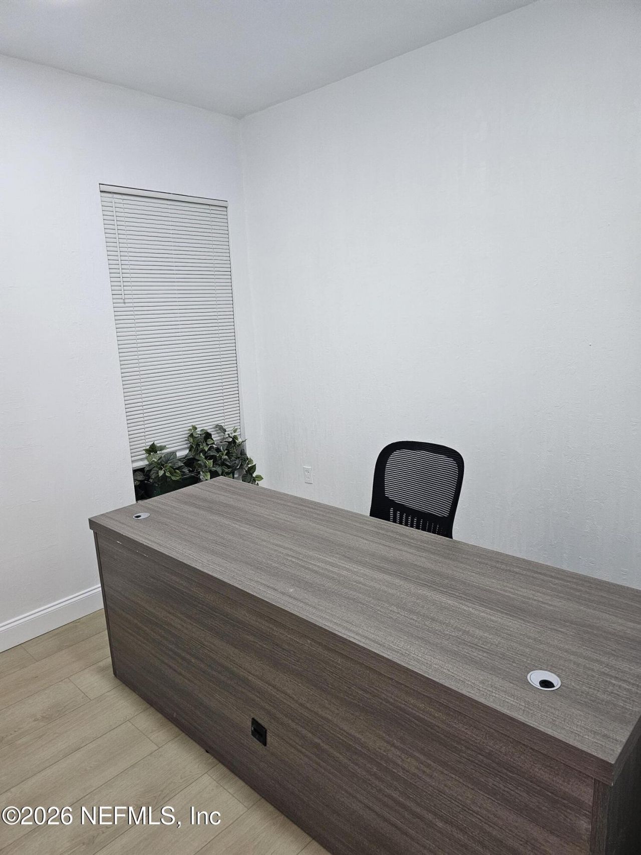 2050 Forbes Street, Jacksonville, FL 32204 Photo