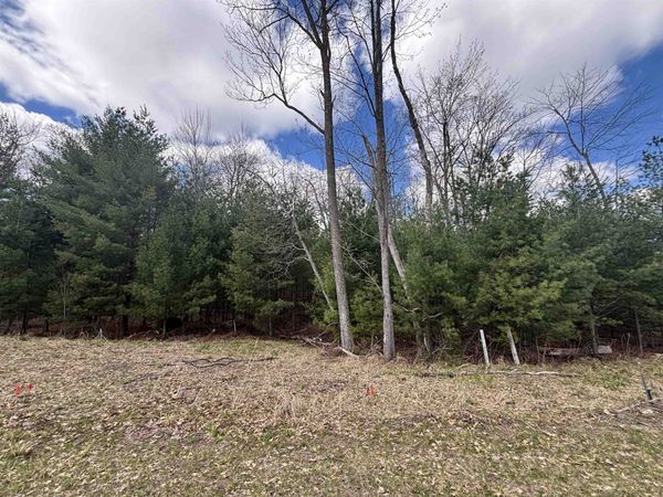 1080 Red Hawk Court, Biron, WI 54494