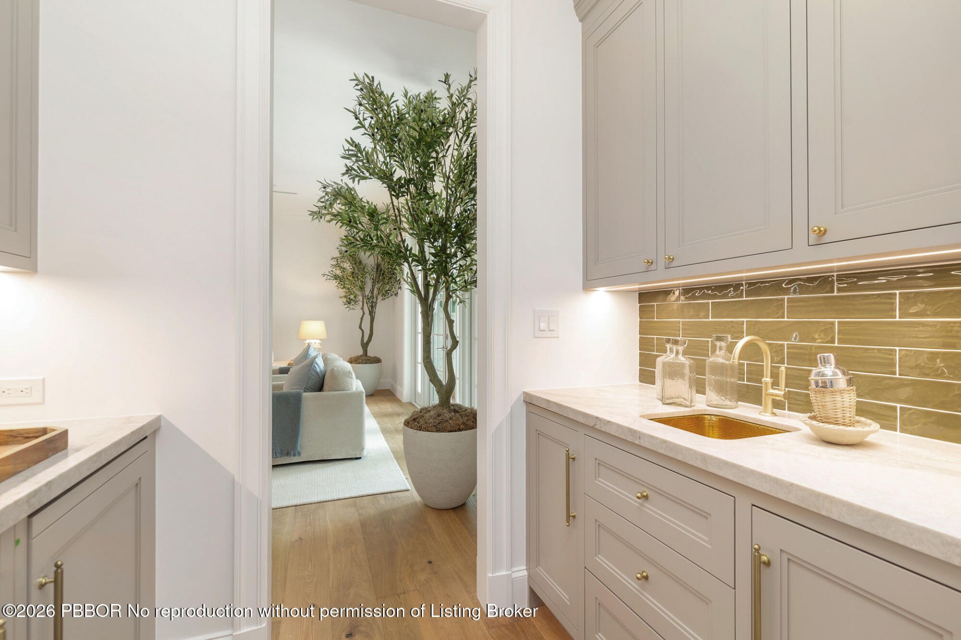 225 Seville Road, West Palm Beach, FL 33405 Photo