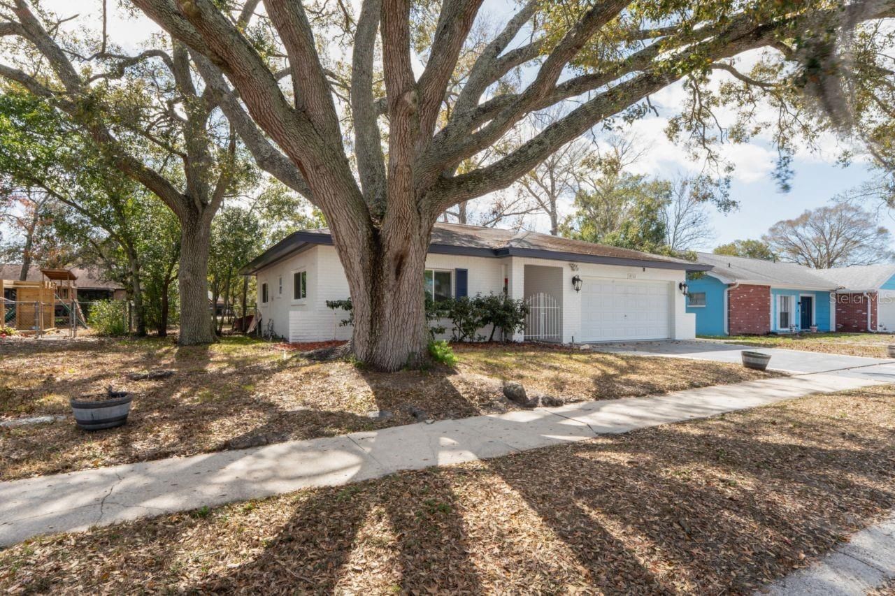 8702 Seeley Lane, Hudson, FL 34667 Photo