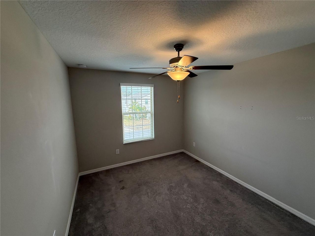 12016 Miracle Mile Drive, Riverview, FL 33578 Photo