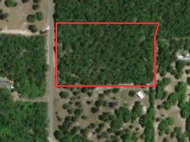 STRICKLAND LAND DRIVE, PERRY, FL 32348