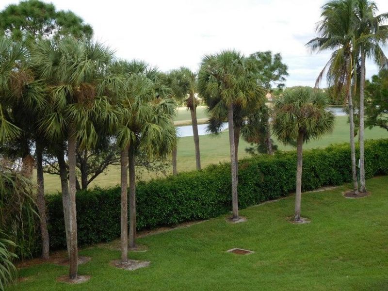 2741 Village Boulevard, Unit 304, West Palm Beach, FL 33409 Photo