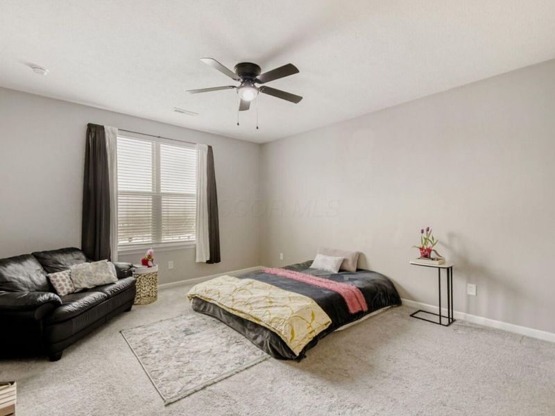 1585 Nettle Court, Sunbury, OH 43074 Photo 18