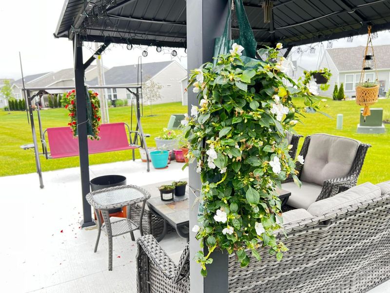 1585 Nettle Court, Sunbury, OH 43074 Photo 29