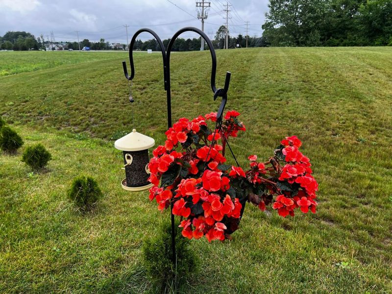 1585 Nettle Court, Sunbury, OH 43074 Photo 31