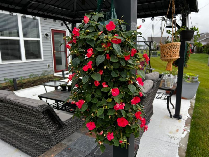 1585 Nettle Court, Sunbury, OH 43074 Photo 33