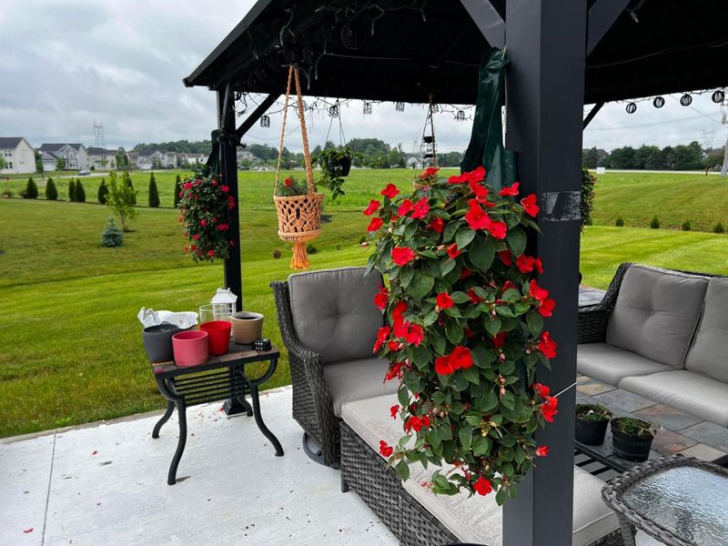 1585 Nettle Court, Sunbury, OH 43074 Photo 34