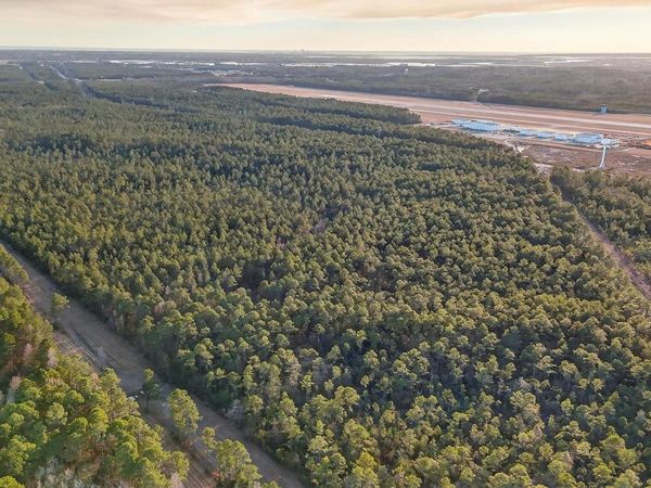 Saracennia Point , Moss Point, MS 39562