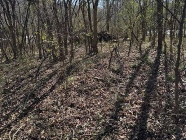 115 Shady Glenn Way, Cosby, TN 37722