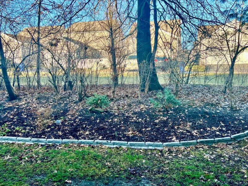 Westerville, OH 43081 Photo 22