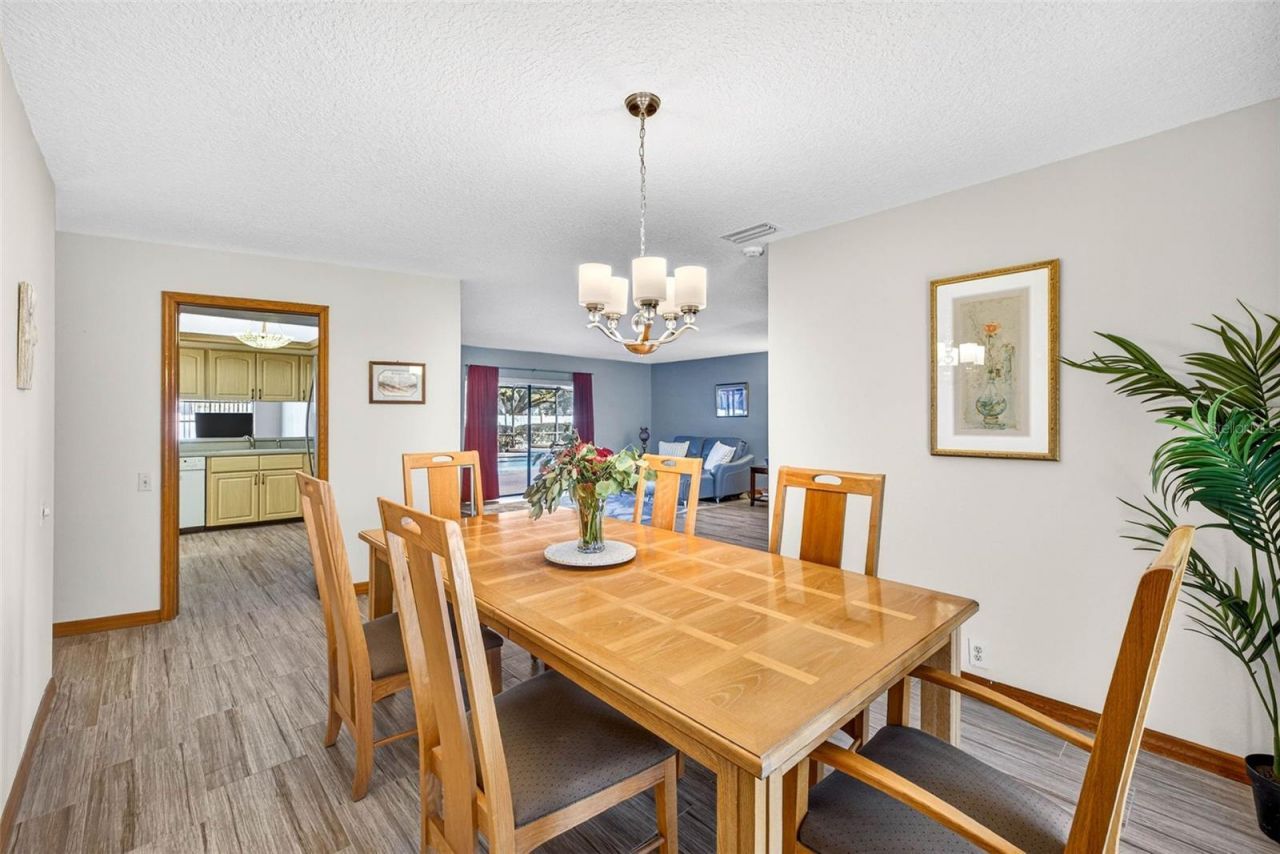 6418 Jacqueline Arbor Drive, Temple Terrace, FL 33617 Photo