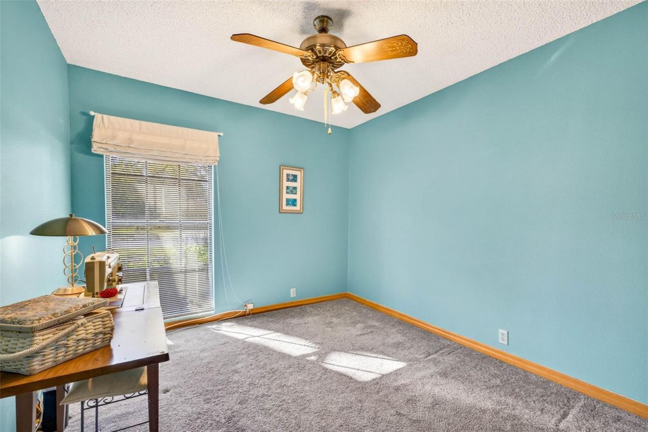 6418 Jacqueline Arbor Drive, Temple Terrace, FL 33617 Photo