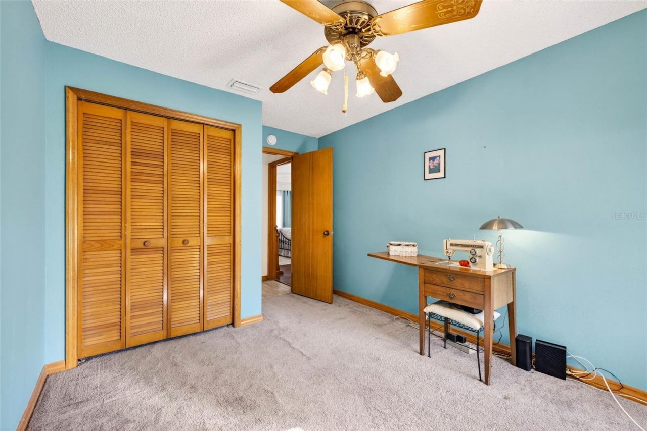 6418 Jacqueline Arbor Drive, Temple Terrace, FL 33617 Photo